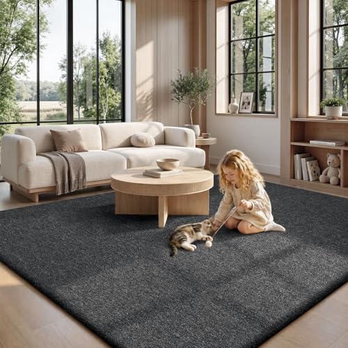 8x10 Area Rugs for Living Room Bedroom (80 Sq Ft)