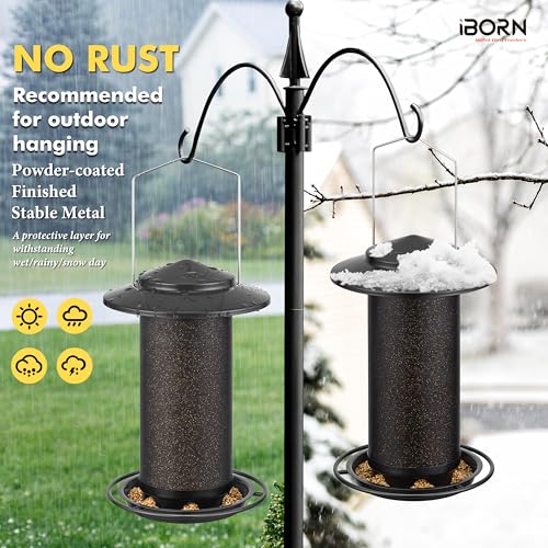 Bird Feeders for Outdoors