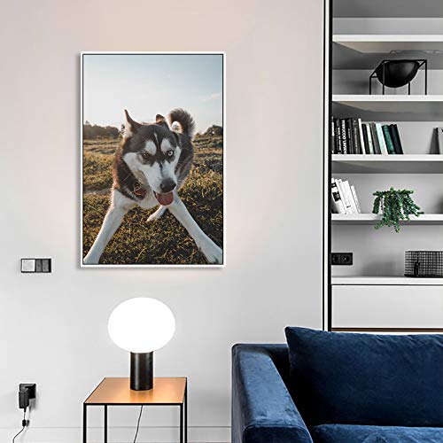 Custom Framed Canvas Prints with Your Photo for Pets