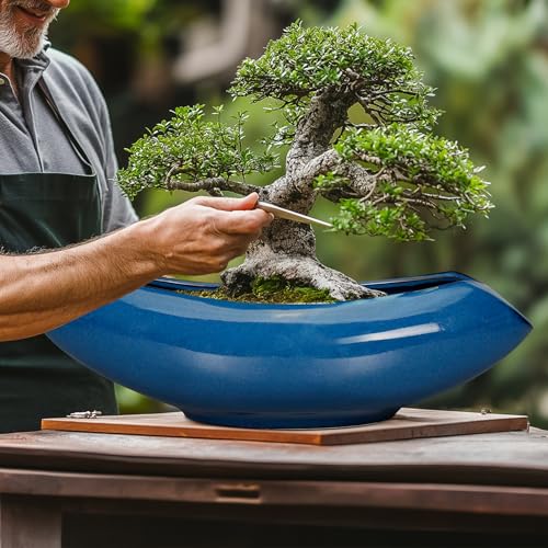 Bonsai Tree Pot 18 Inch