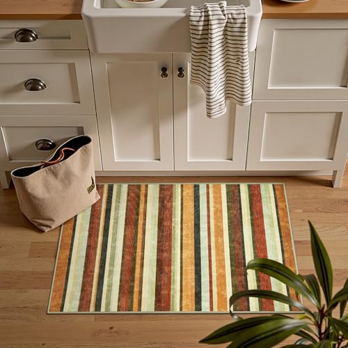 2x3 Striped Rug for Entryway Washable Kitchen Rug (6 Sq Ft)