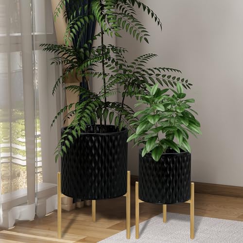 Plants Pots with Stand (2 Count)
