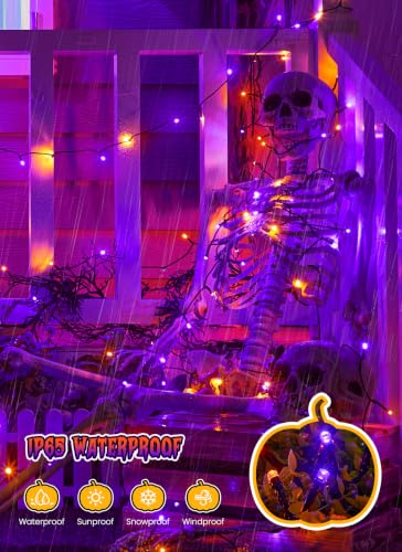 4 Pack Solar Halloween Lights (288 Foot)