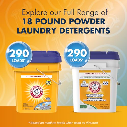 Professional Powder Laundry Detergent (288 Ounce)