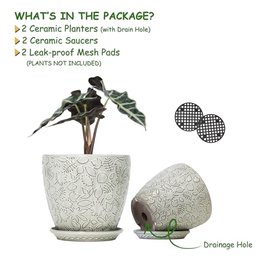 8 Inch + 6 Inch Retro Ceramic Planter Set of 2 with Drainage Hole and Saucer for Multiple Plants (2 Count)