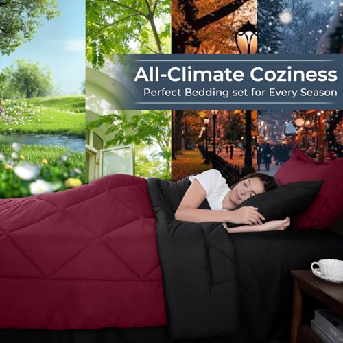 7 Piece Queen Comforter Set