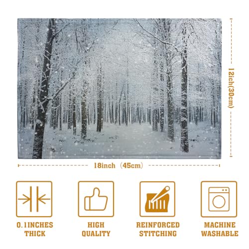Winter Placemats Set of 4 Snowy Forest Table Place Mats (4 Count)
