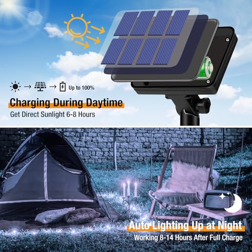 Solar String Lights for Outside