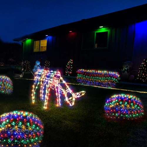 Christmas Lights Outdoor