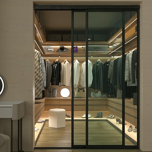Glass Room Divider and Sliding Glass Closet Doors