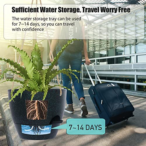 10 Inch Self Watering Hanging Pots (2 Count)
