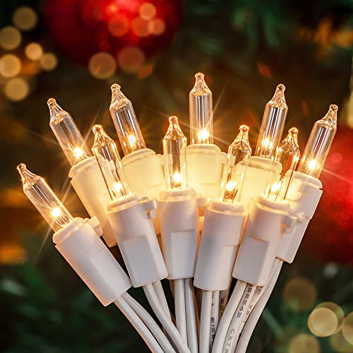 Clear Warm White Christmas Mini Lights (50 Count)