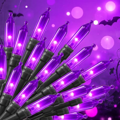 Purple Battery Operated Christmas String Lights with Timer