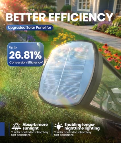 Solar Path Lights (12 Count)