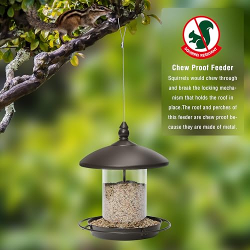 Pack of 2 Metal Roof Bird Feeder for Backyard Birds (2 Count)