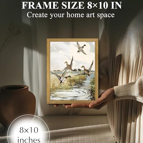 Framed Vintage Duck Wall Art Print