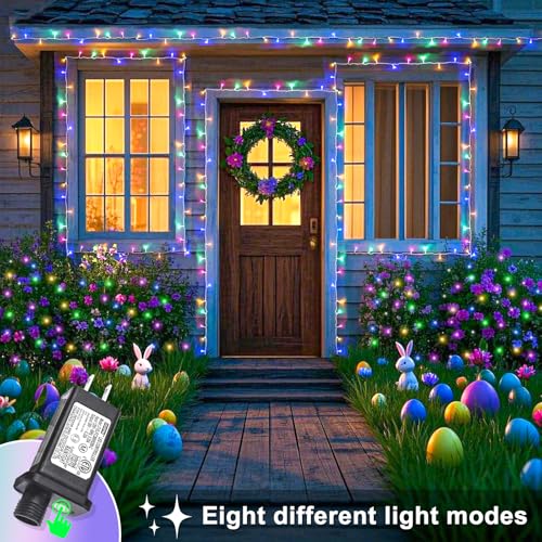 40FT 120 LED String Lights Indoor
