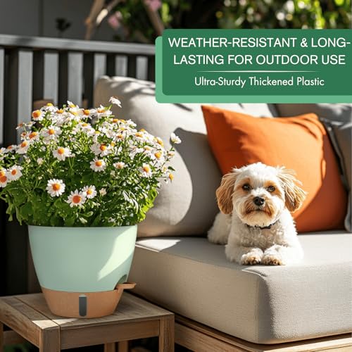 2 Pack 10 inch Plant Pots (2 Count)