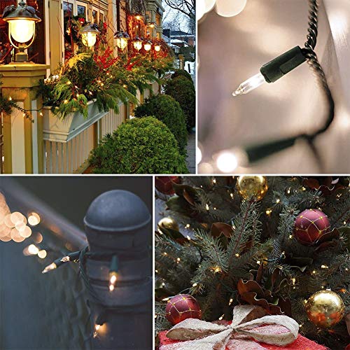 Warm White Christmas Mini Lights (46 Foot)