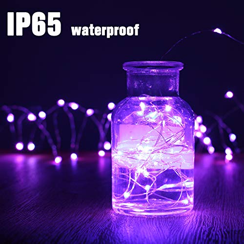 Purple Fairy Lights (10 Foot)