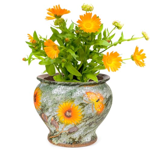 9 Inch Hand Painted Ceramic Succulent Plant Pots