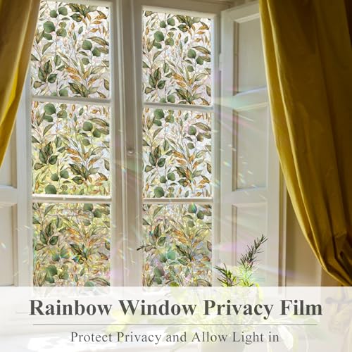 Window Privacy Film