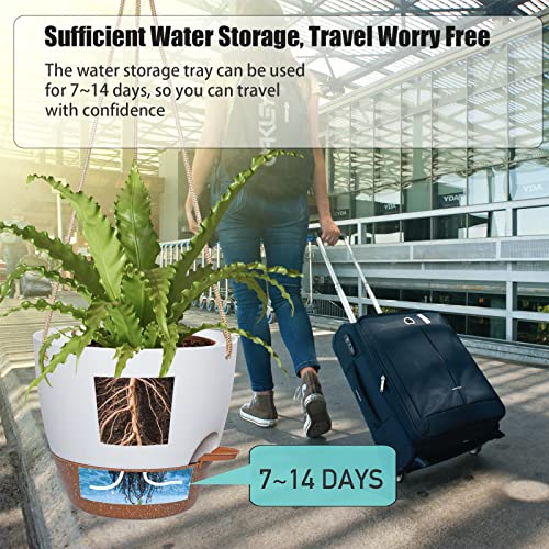 8 inch Hanging Planters (2 Count)