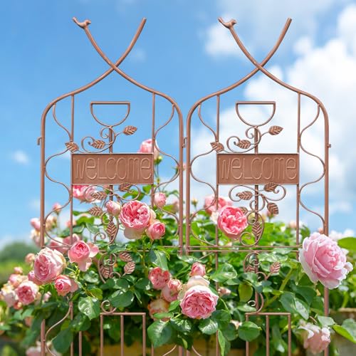 59.5 x 36in Rustic Iron Arch Decoration Garden Trellis with Metal Coating (2 Count)