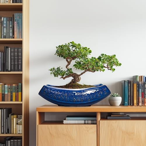 Bonsai Pots 18 Inch Large Ceramic Succulent Pots for Indoor Outdoor