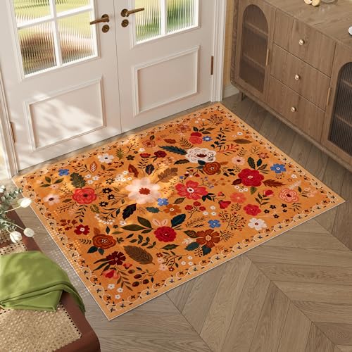 Door Mat 2x3 Area Rug Washable