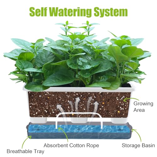 Window Box Planter 8 Pcs (8 Count)