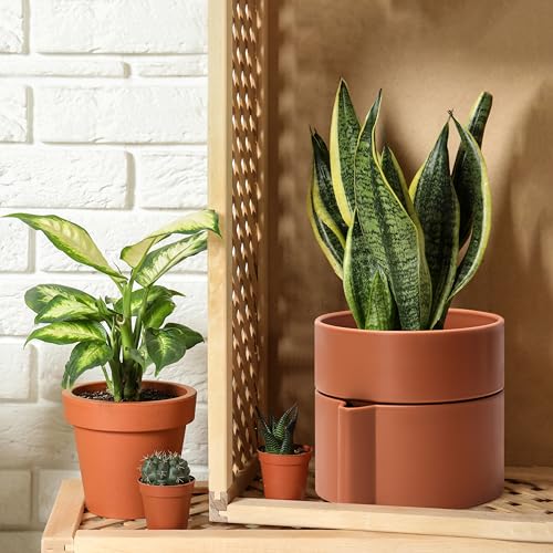 8 Inch Self Watering Planter Pot with Terracotta Insert