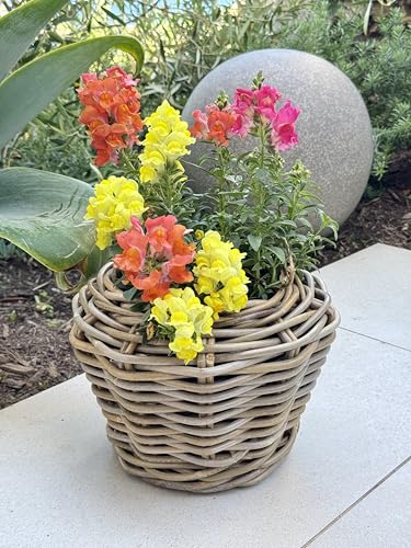 Rattan Planter Basket Plant Pot Holder 1 Gallon X