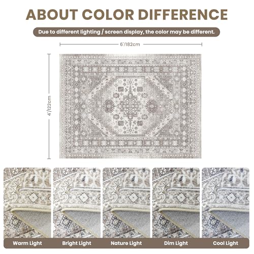 4x6 Area Rug for Entryway (24 Count)