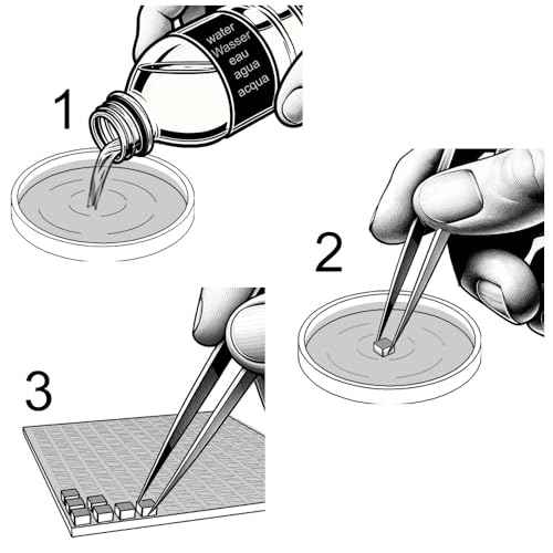 Build a Real Mosaic with Our DIY Mosaic Kit for Adults (10.7639 Sq Ft)