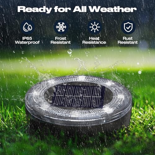 Mini Outdoor Solar Lights (4 Count)