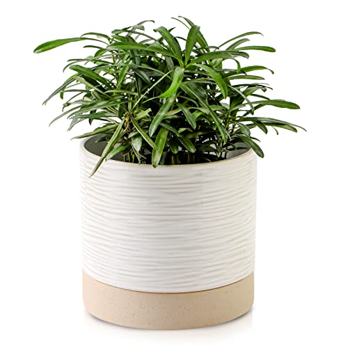 Ceramic Plant Pot