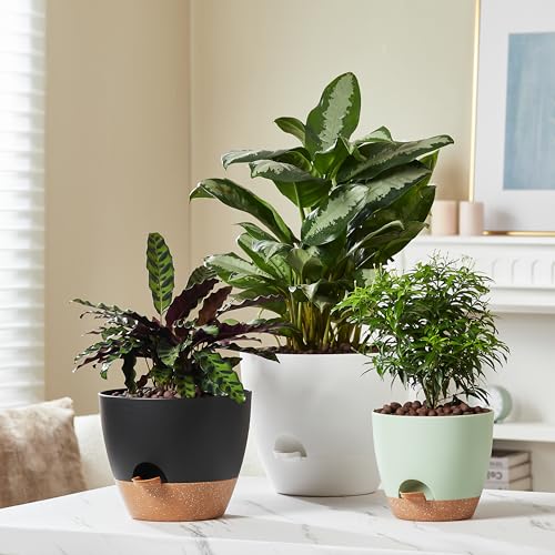 3 Pack Large Planter Pots (3 Count)