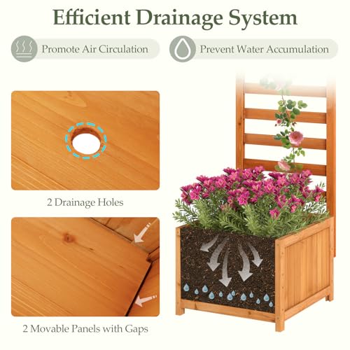 2 48" Raised Garden Bed with Trellis & Garden Box