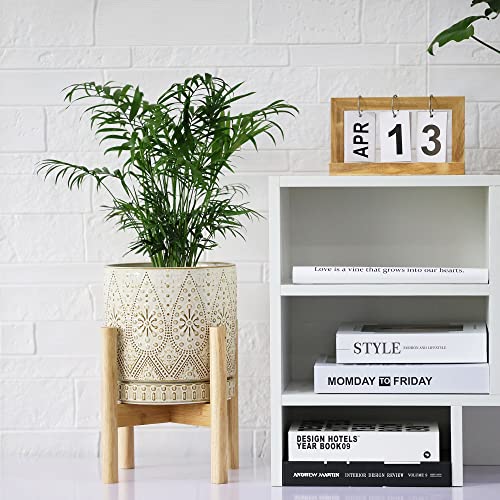 8 Inch Plant Pot with Stand