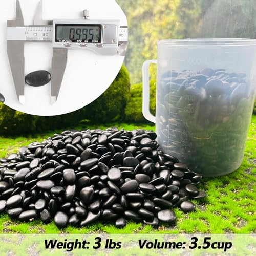 Black Pebbles for Plants 3lb Bulk Bag 0.5" (48 Ounce)