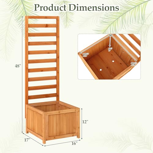 2 48" Raised Garden Bed with Trellis & Garden Box