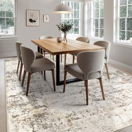 6x9 Area Rug Living Room Rugs