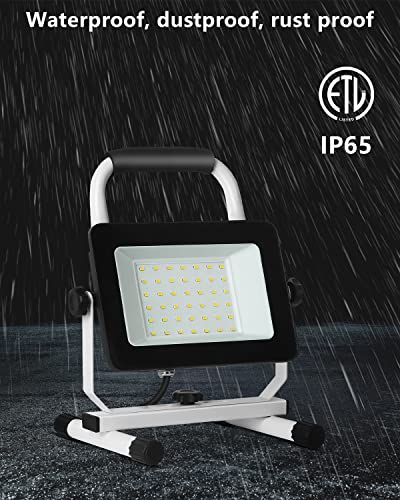 4000 Lumen LED Work Light with Stand