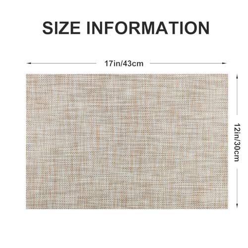Vinyl Placemats Set of 6 (4 Count)