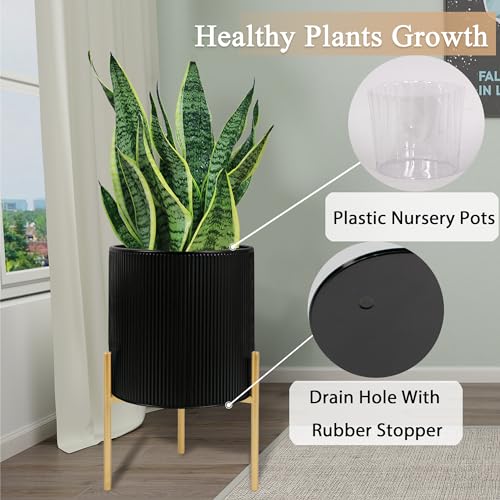 Modern Plant Pots (2 Count)