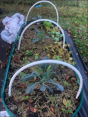 2 Pack 8x4x1FT Galvanized Raised Garden Bed Kit Oval Metal Ground Planter Box Outdoor Bottomless Planter Raised Beds for Vegetables Flowers Herbs Fruits