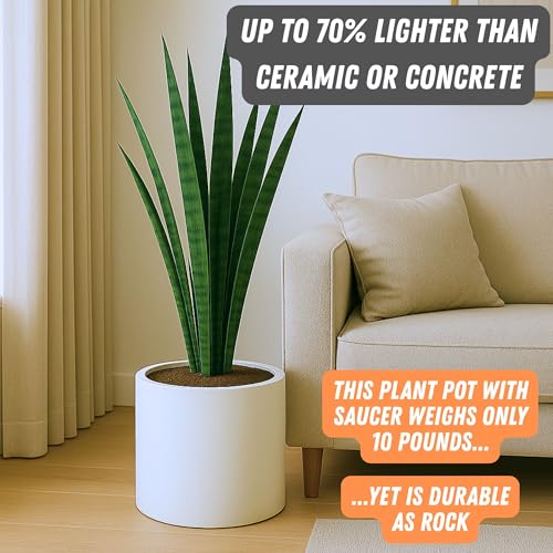 Large Planter for Indoor or Outdoor