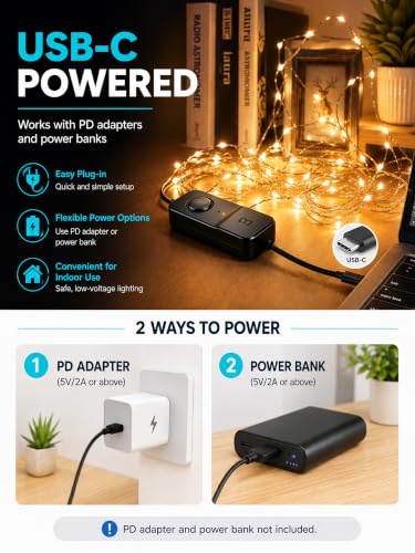 Smart RGB Fairy Lights 100 LED
