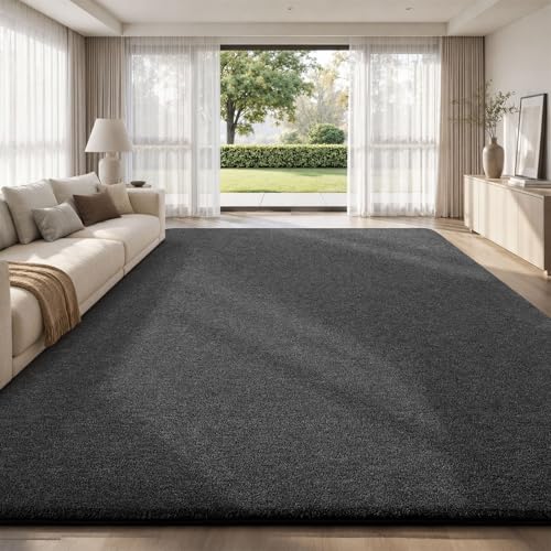 6x9 Area Rugs for Living Room Bedroom